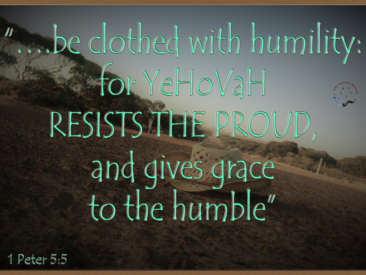 Pride of Life, Identify The Pride in Yourself Before YHVH Resists&nbsp;You