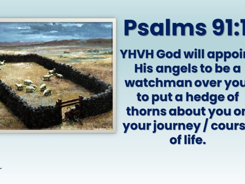 Psalm 91:11-12